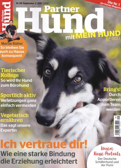 Partner Hund